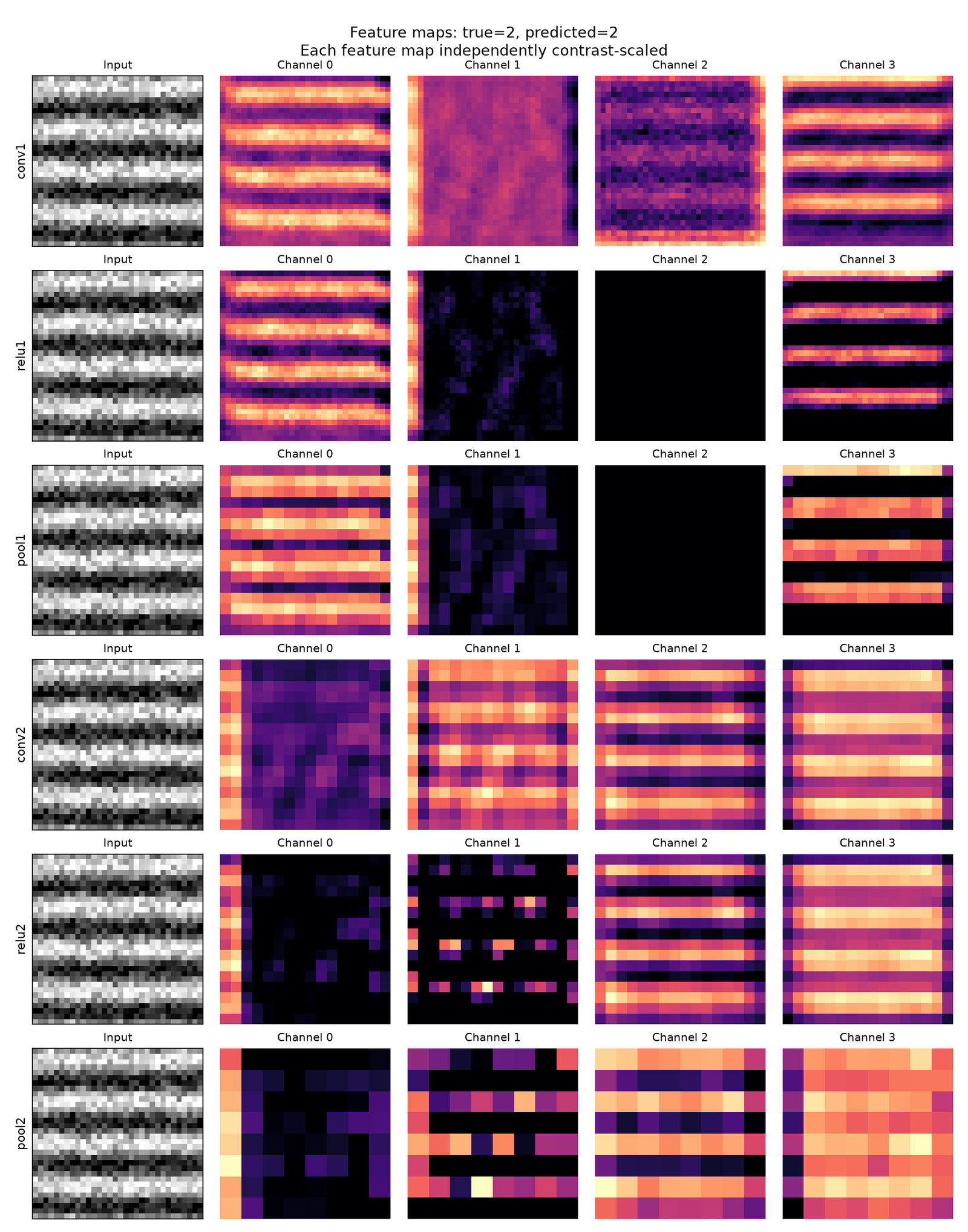 Feature maps for a class-2 validation image through conv1 → pool2 (first four channels, each contrast-scaled)